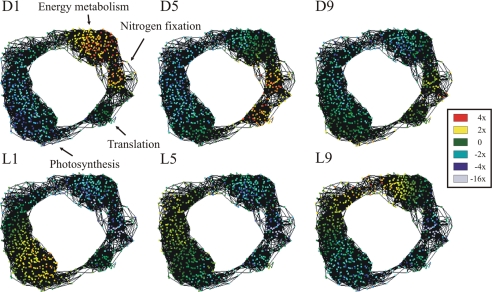 Fig. 3.