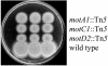 FIG. 2.