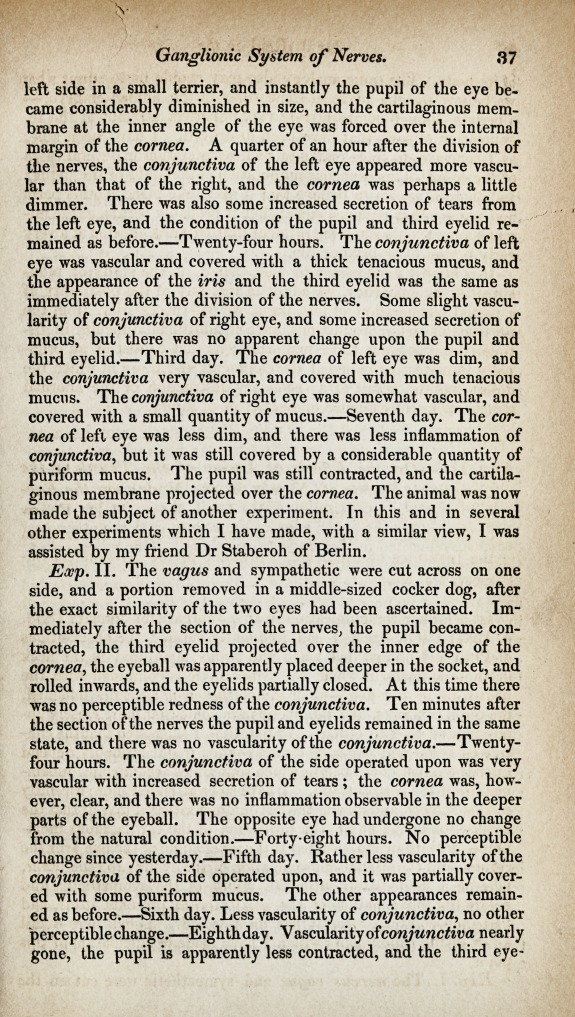 37
