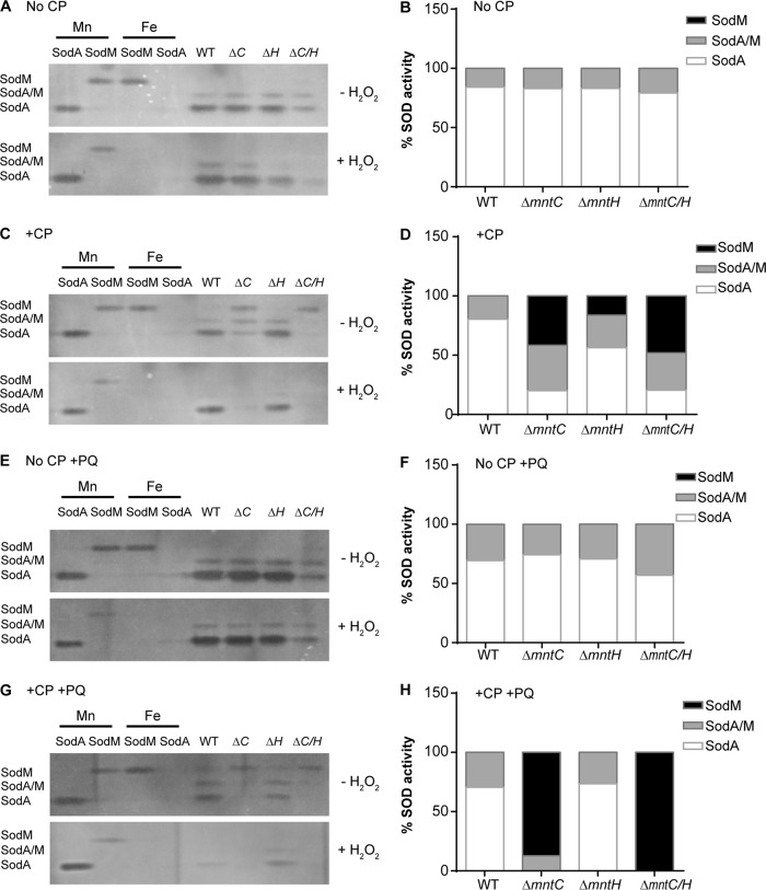 FIG 2