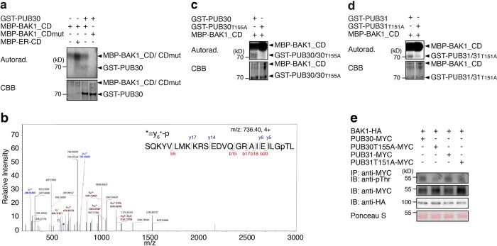 Extended Data Fig. 6