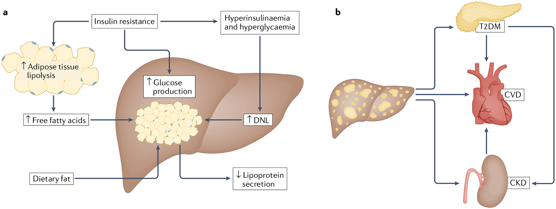 Fig. 2 |