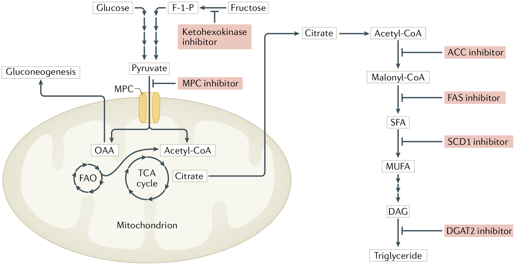 Fig. 3 |