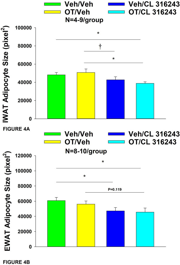 Figure 4A-B:
