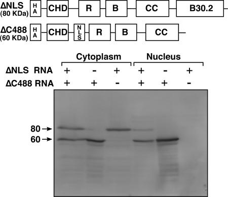 FIG. 6.