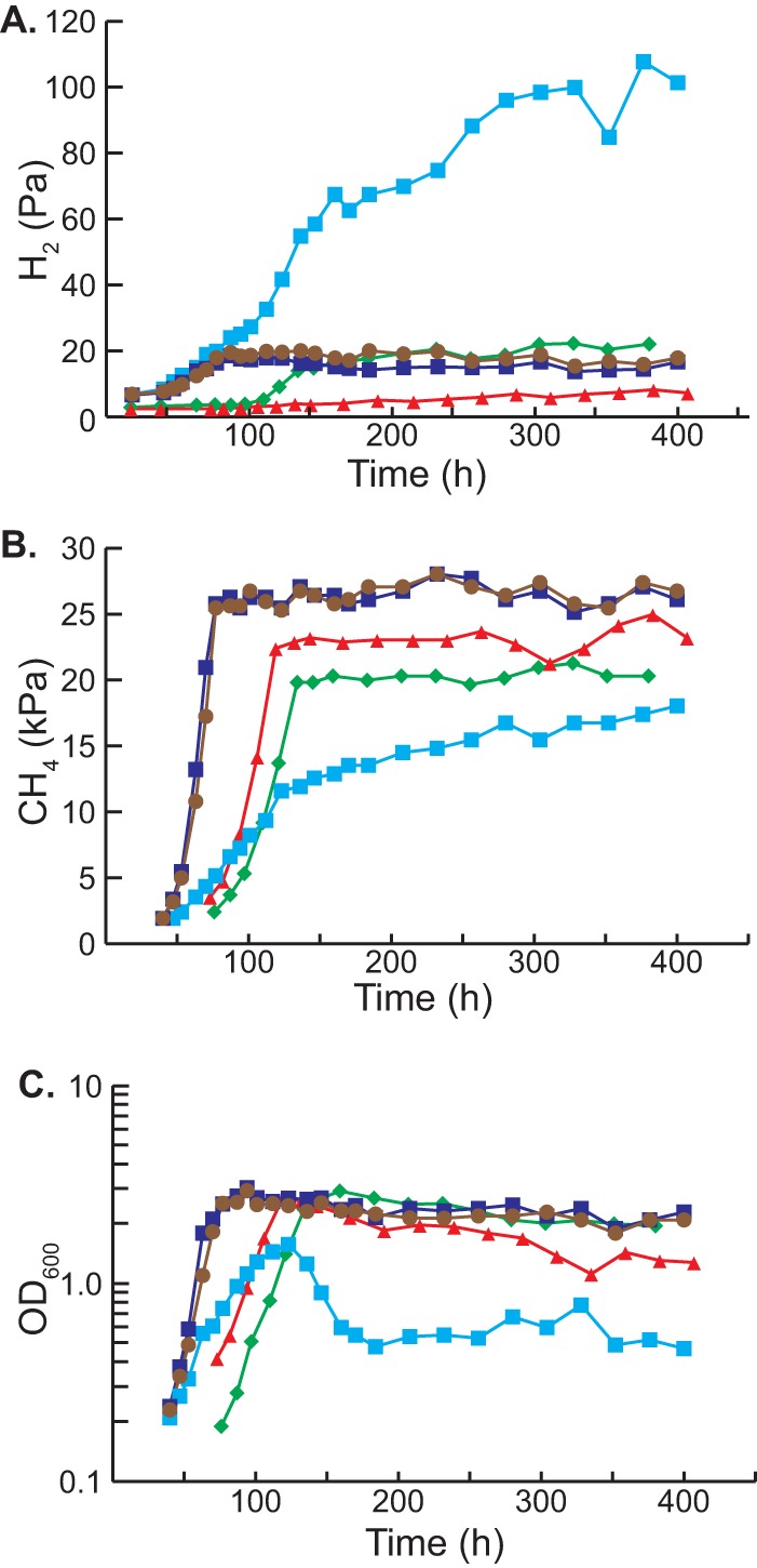 FIG 2 