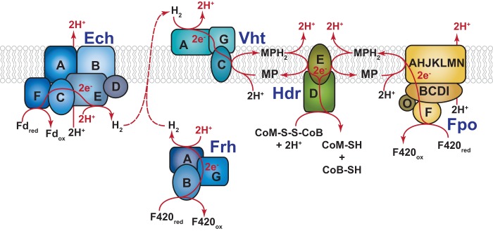 FIG 1 