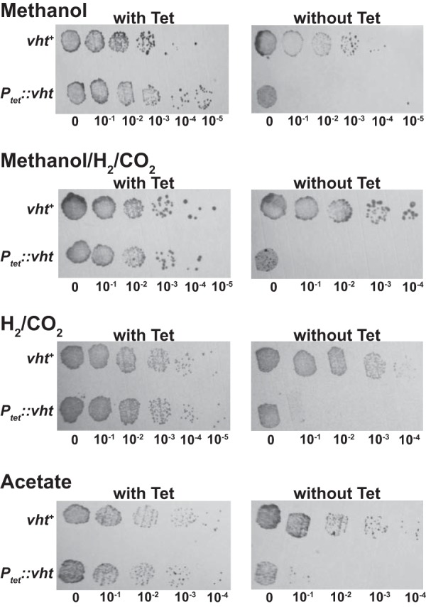 FIG 3 