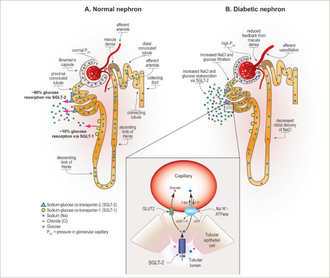 Figure 2: