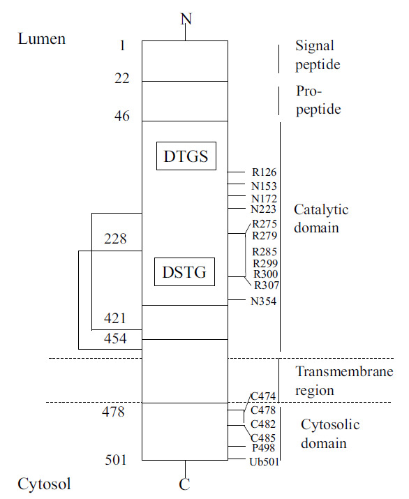 Fig. (2)