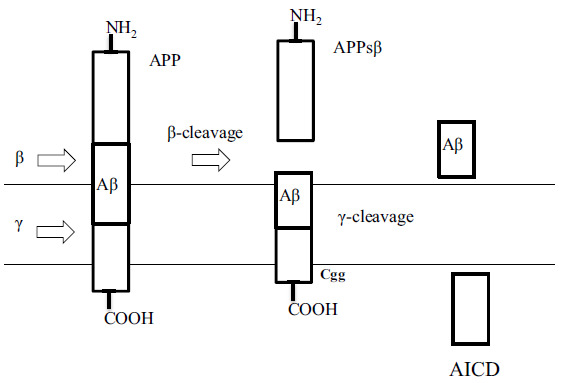 Fig. (1)