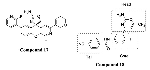 Fig. (10)