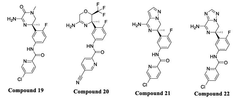 Fig. (11)