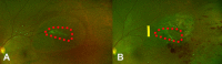 Fig. 8