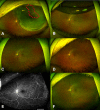 Fig. 3
