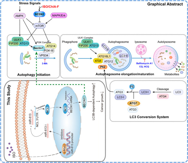 Image, graphical abstract