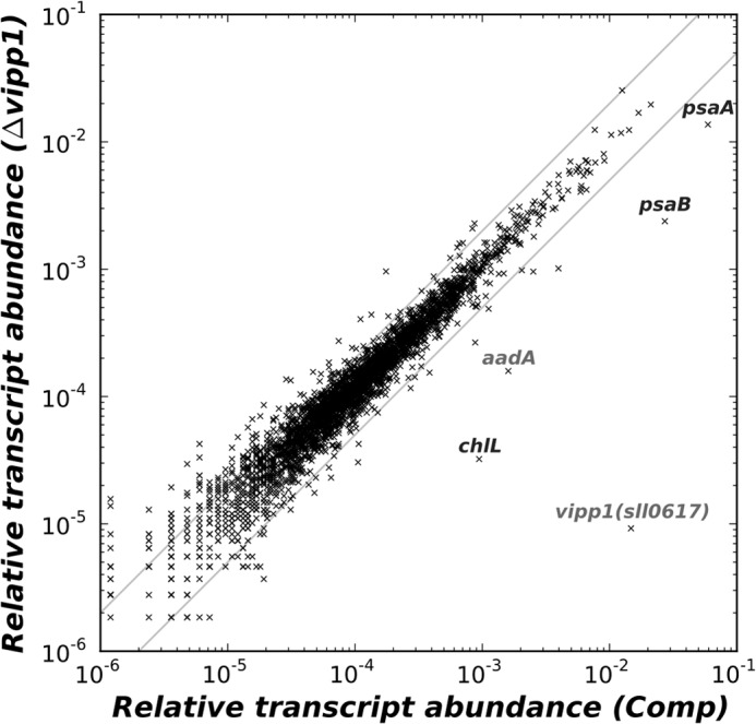 FIGURE 10.