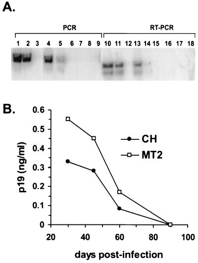 FIG. 5