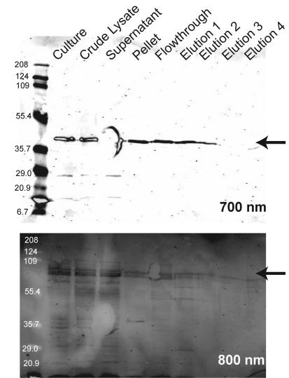 FIG. 9.