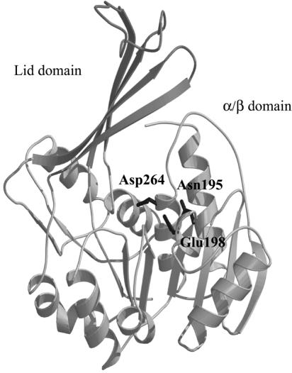 FIG. 6.