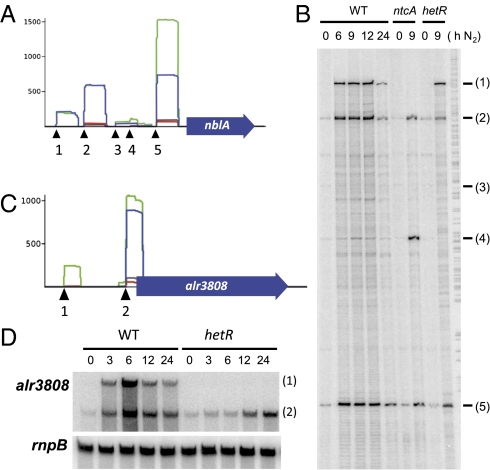 Fig. 2.