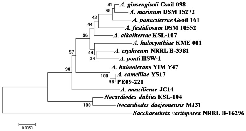 Figure 3