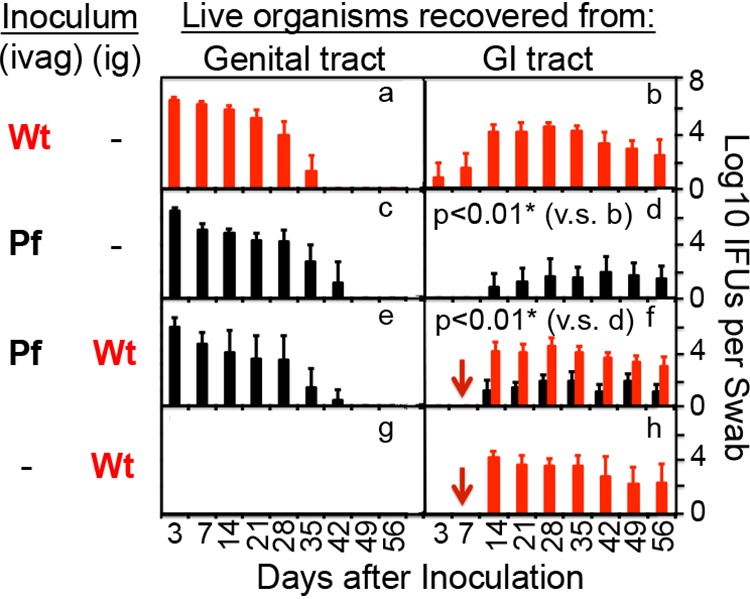 FIG 4