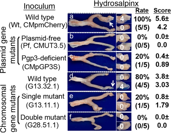 FIG 2