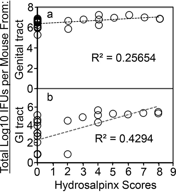 FIG 3