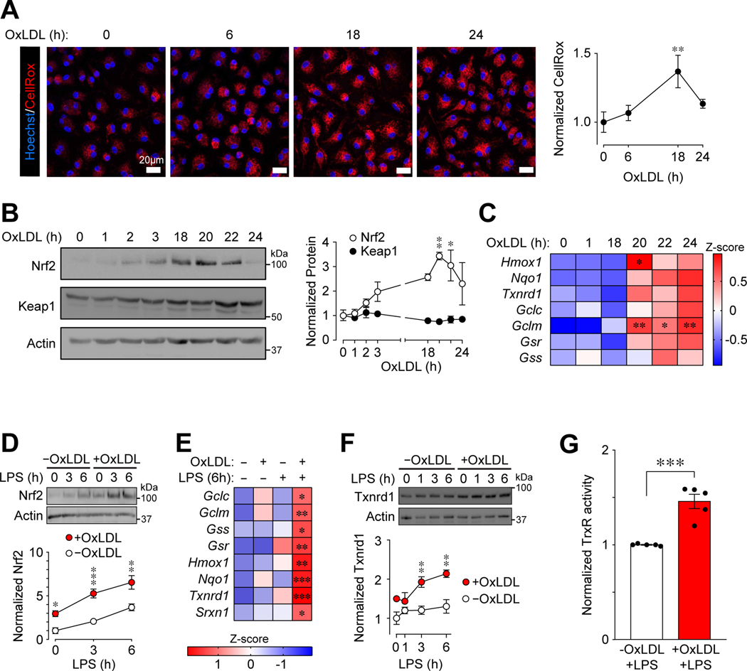 Figure 4: