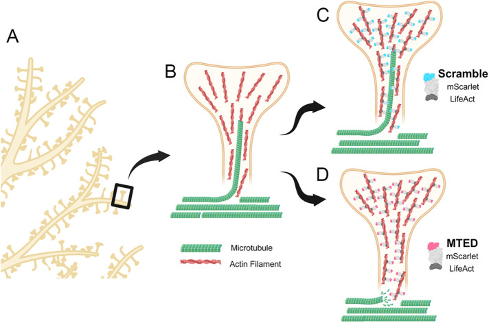 FIGURE 6: