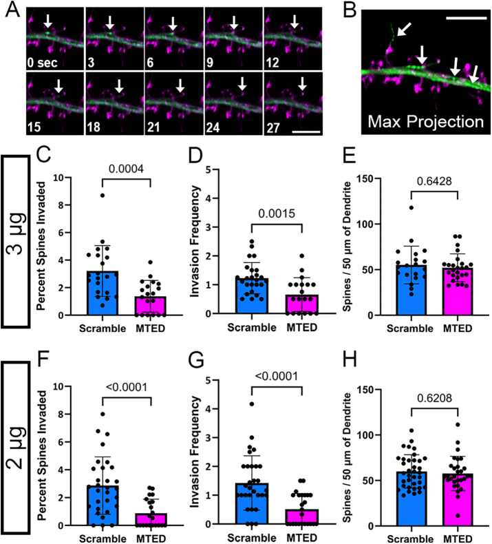 FIGURE 2: