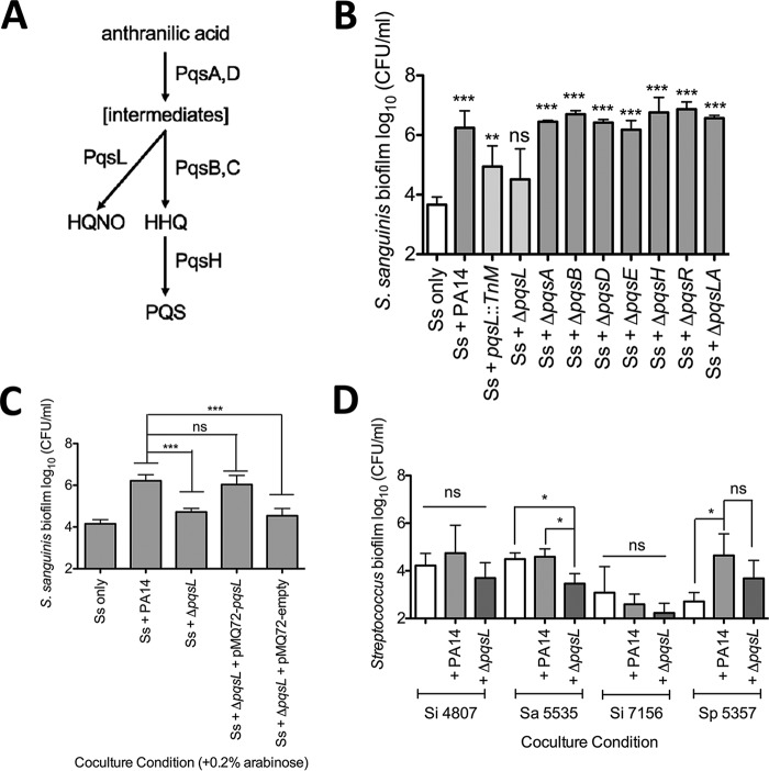 FIG 3