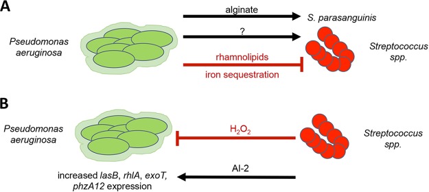 FIG 5