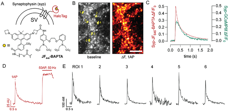 Fig. 1.