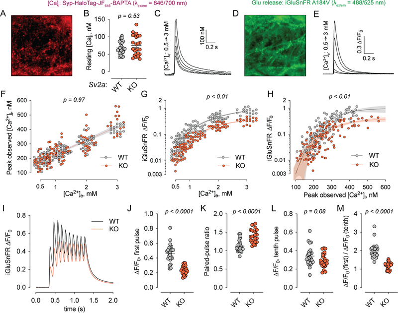 Fig. 2: