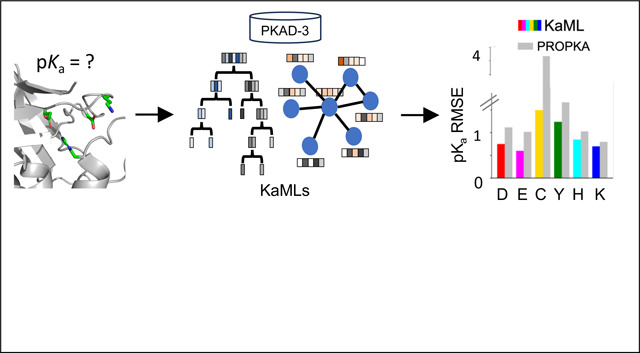 graphic file with name nihpp-2024.11.09.622800v3-f0007.jpg