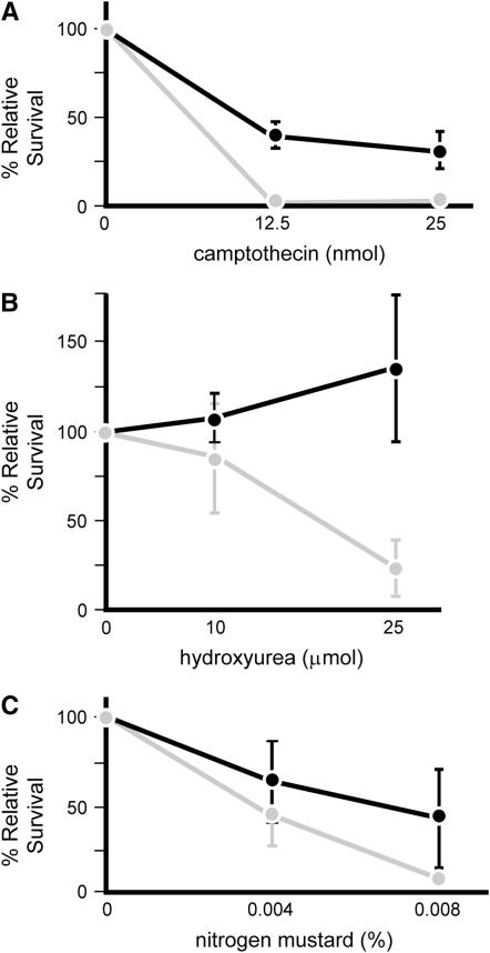 Figure 2.—