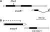 F<sc>igure</sc> 1.—