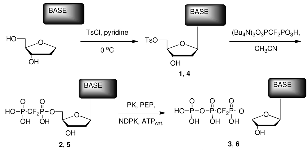 Scheme 1