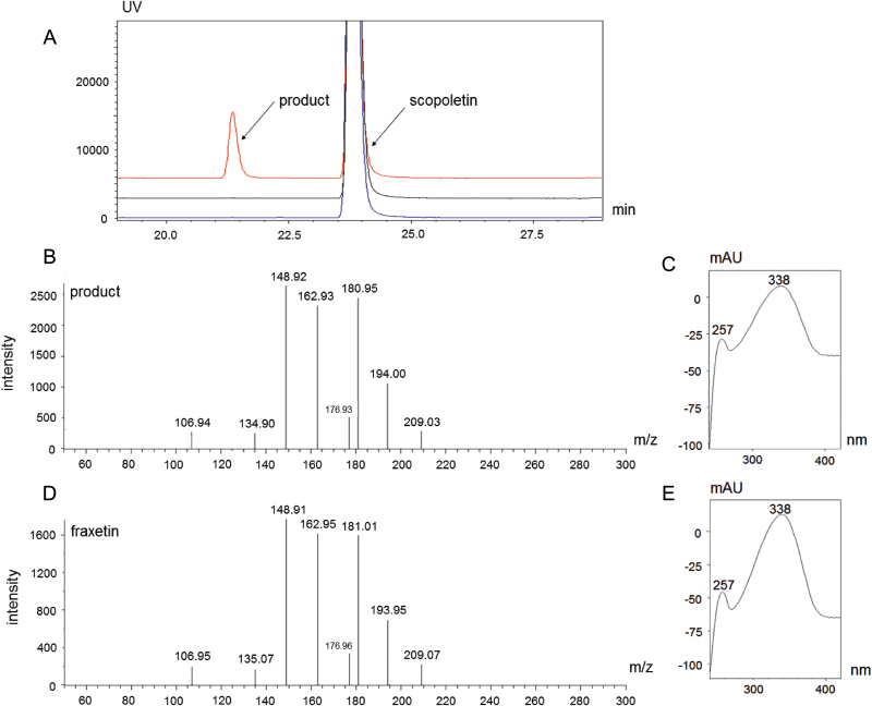 Fig. 2.