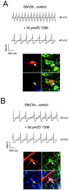 Fig. 9.