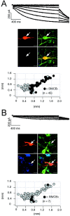 Fig. 6.