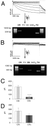 Fig. 5.