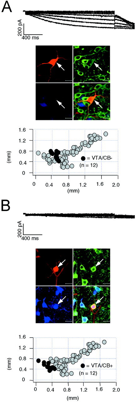 Fig. 7.