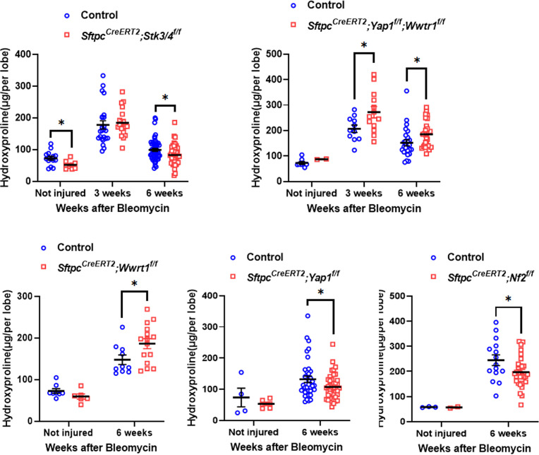 Figure 4—figure supplement 1.