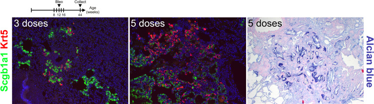 Figure 6—figure supplement 1.