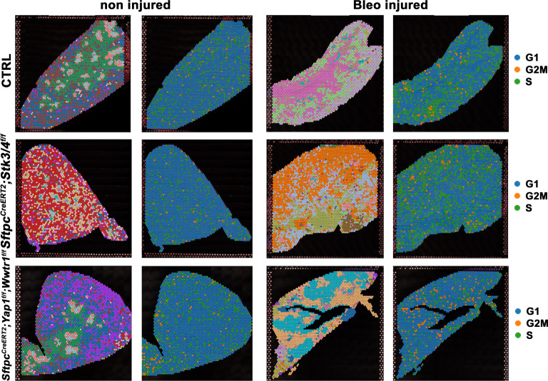 Figure 5—figure supplement 1.