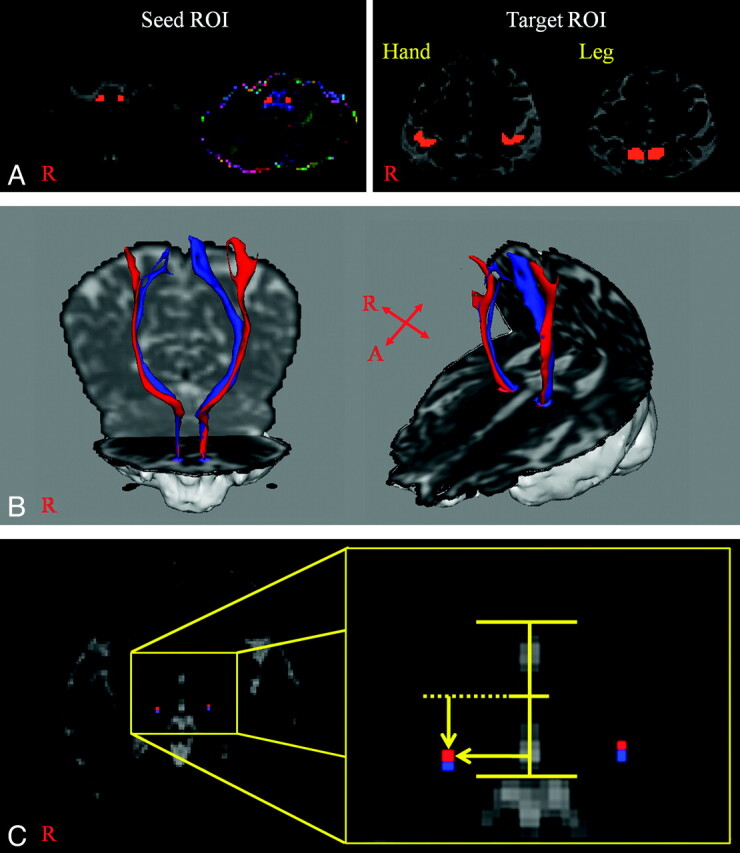 Fig 1.