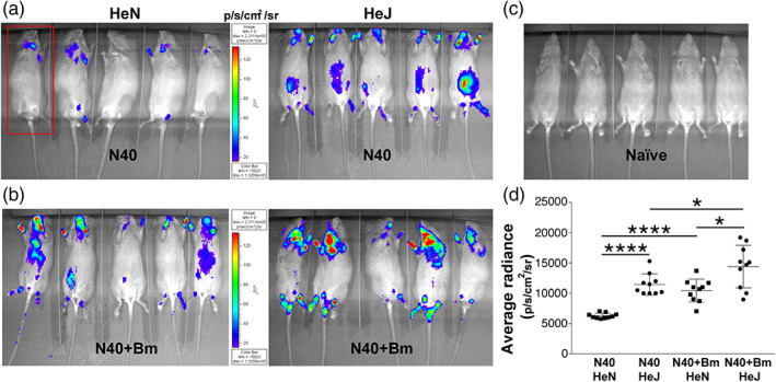 FIGURE 2